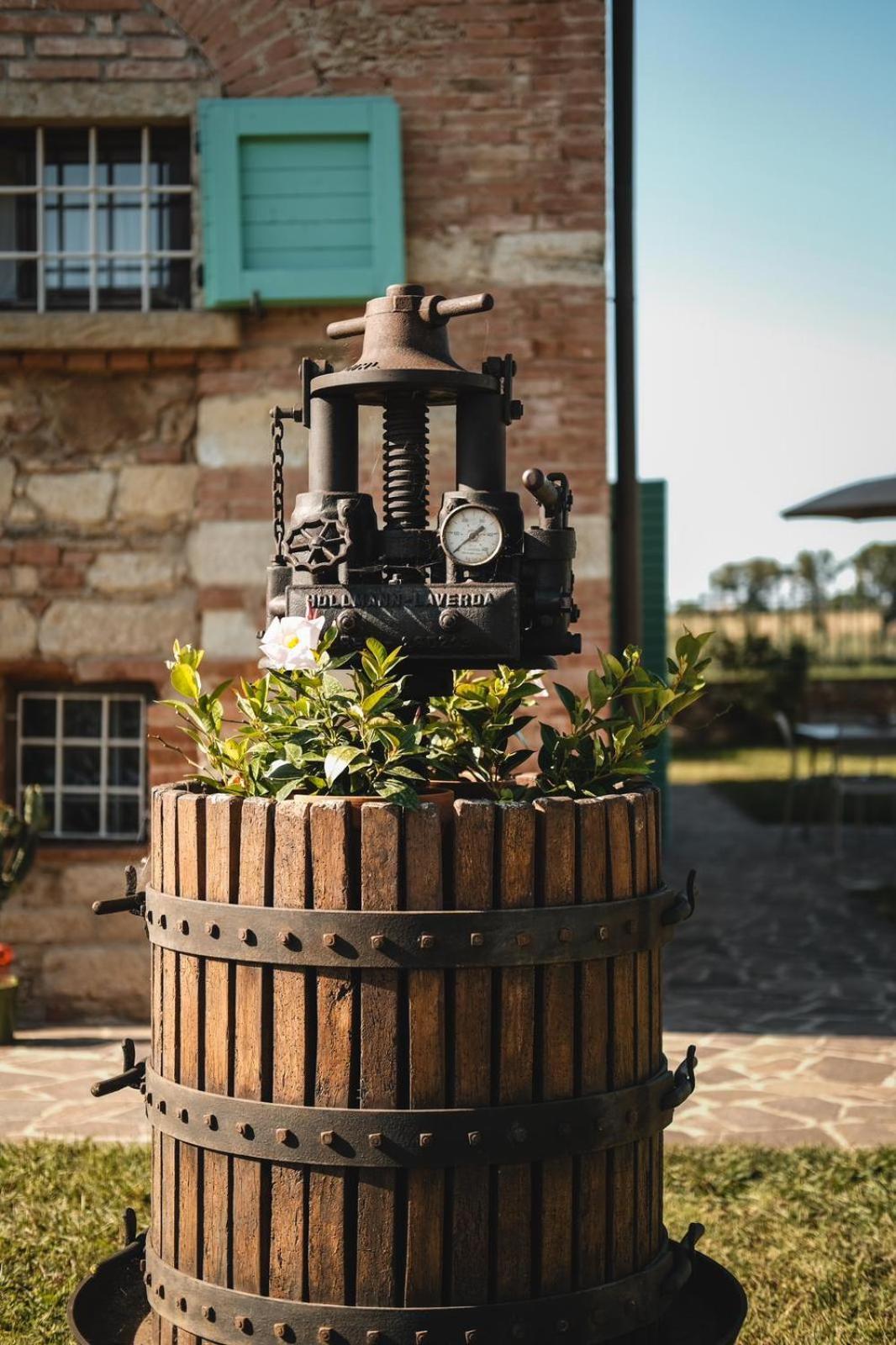Podere Gli Olmi Cecina  Esterno foto