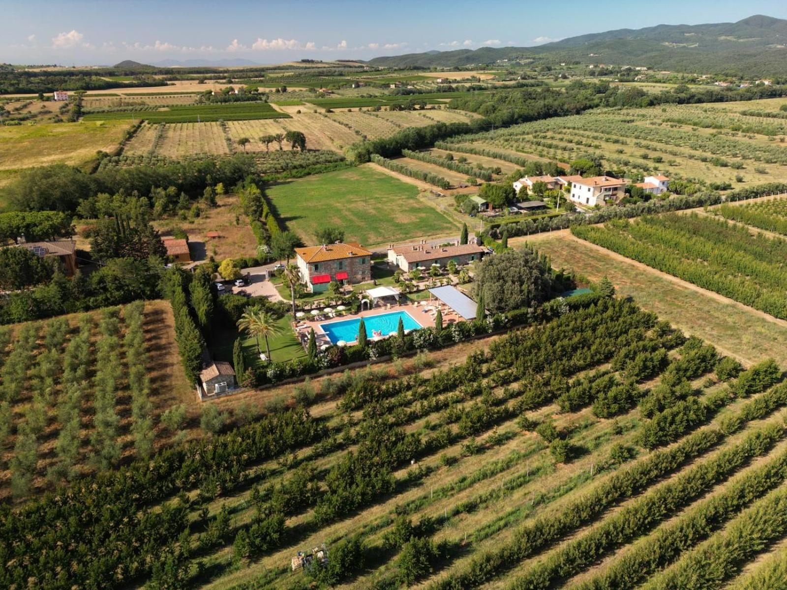 Podere Gli Olmi Cecina  Esterno foto